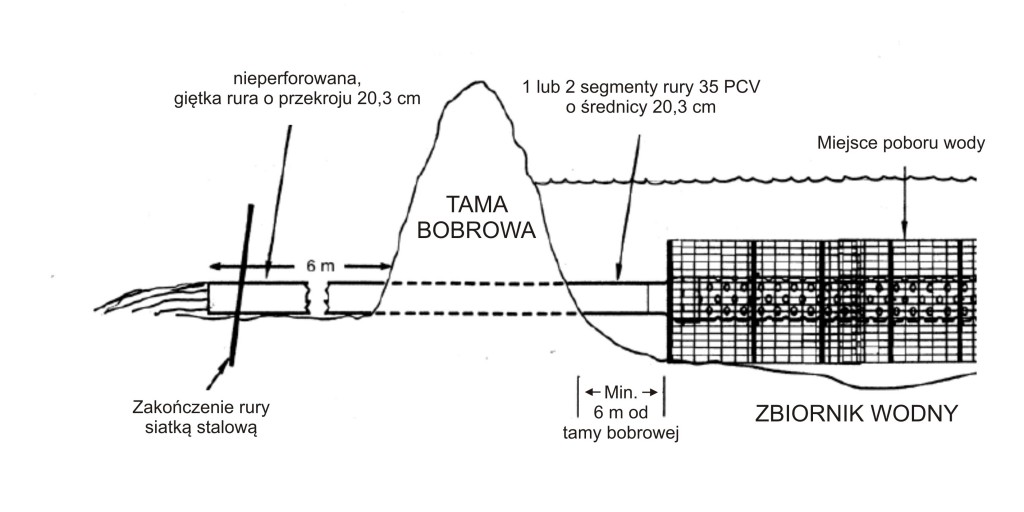 schemat cylindra Clemsona